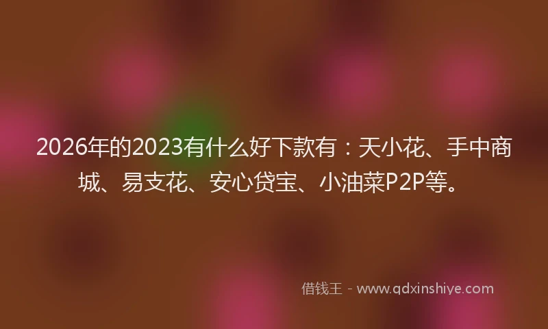 2026年的2023有什么好下款有：天小花、手中商城、易支花、安心贷宝、小油菜P2P等。