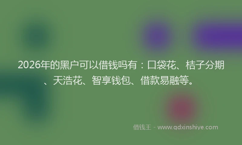 2026年的黑户可以借钱吗有：口袋花、桔子分期、天浩花、智享钱包、借款易融等。