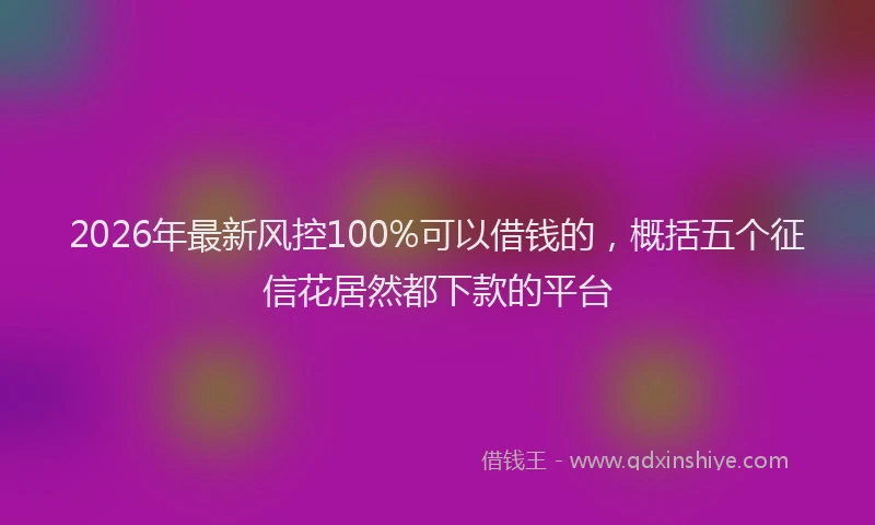 2026年最新风控100%可以借钱的，概括五个征信花居然都下款的平台