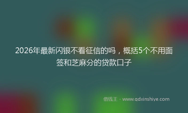 2026年最新闪银不看征信的吗，概括5个不用面签和芝麻分的贷款口子