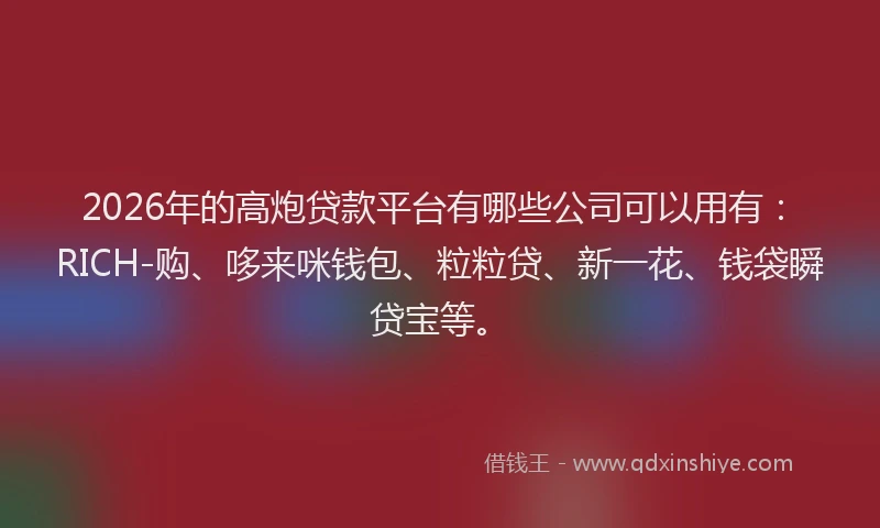 2026年的高炮贷款平台有哪些公司可以用有：RICH-购、哆来咪钱包、粒粒贷、新一花、钱袋瞬贷宝等。