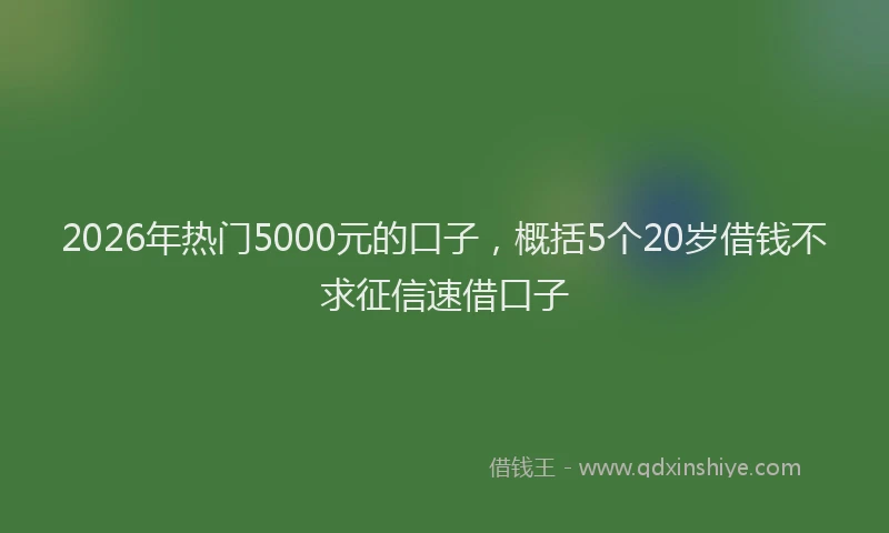 2026年热门5000元的口子，概括5个20岁借钱不求征信速借口子