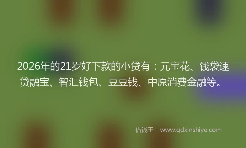 2026年的21岁好下款的小贷有：元宝花、钱袋速贷融宝、智汇钱包、豆豆钱、中原消费金融等。
