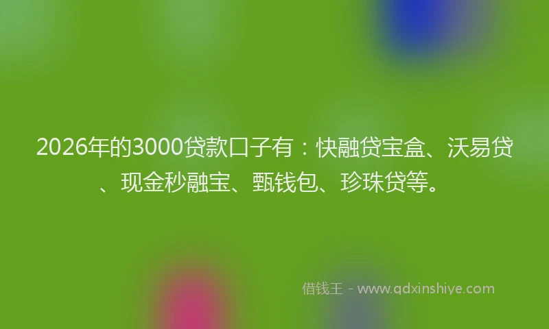 2026年的3000贷款口子有：快融贷宝盒、沃易贷、现金秒融宝、甄钱包、珍珠贷等。
