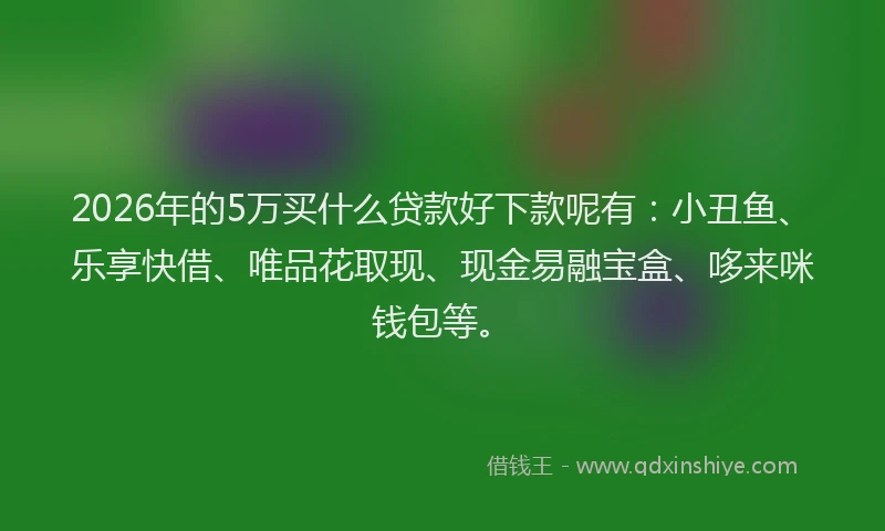 2026年的5万买什么贷款好下款呢有：小丑鱼、乐享快借、唯品花取现、现金易融宝盒、哆来咪钱包等。