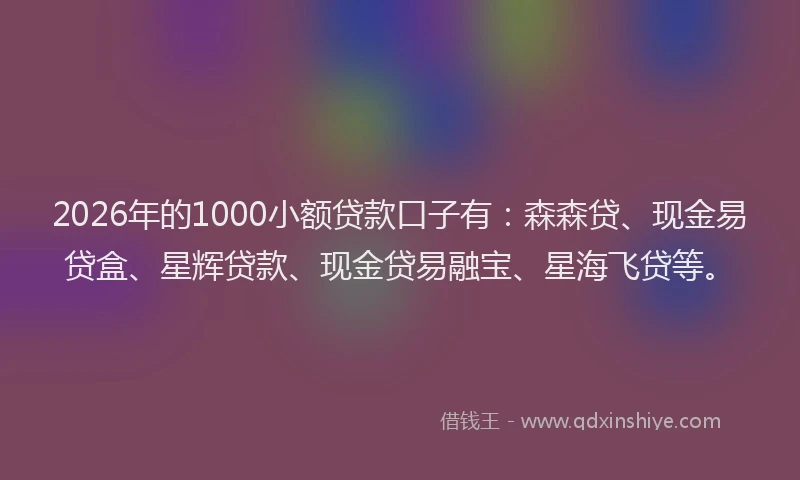 2026年的1000小额贷款口子有：森森贷、现金易贷盒、星辉贷款、现金贷易融宝、星海飞贷等。