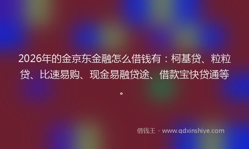 2026年的金京东金融怎么借钱有：柯基贷、粒粒贷、比速易购、现金易融贷途、借款宝快贷通等。