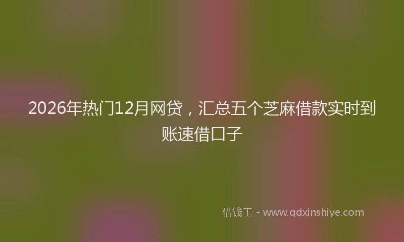 2026年热门12月网贷，汇总五个芝麻借款实时到账速借口子
