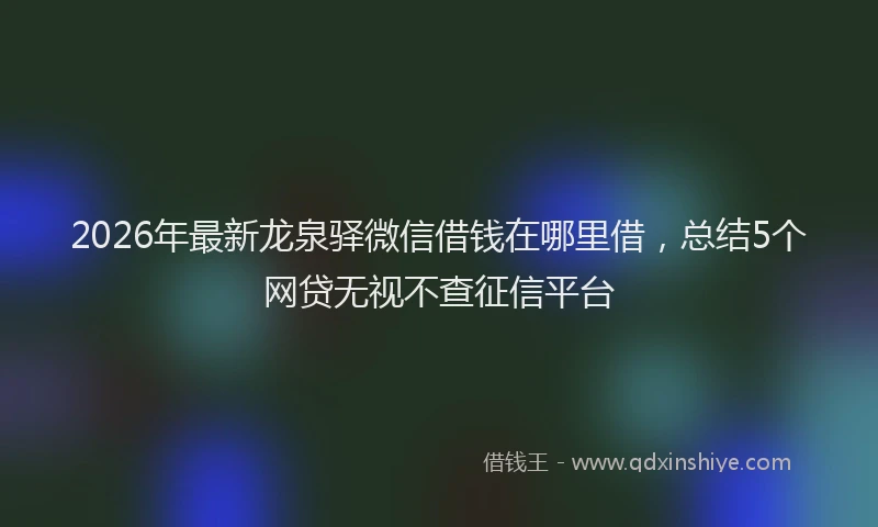 2026年最新龙泉驿微信借钱在哪里借，总结5个网贷无视不查征信平台