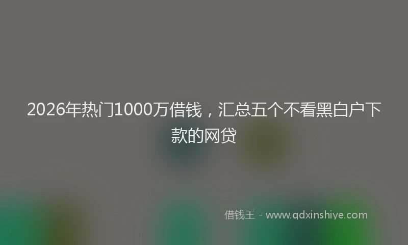 2026年热门1000万借钱，汇总五个不看黑白户下款的网贷