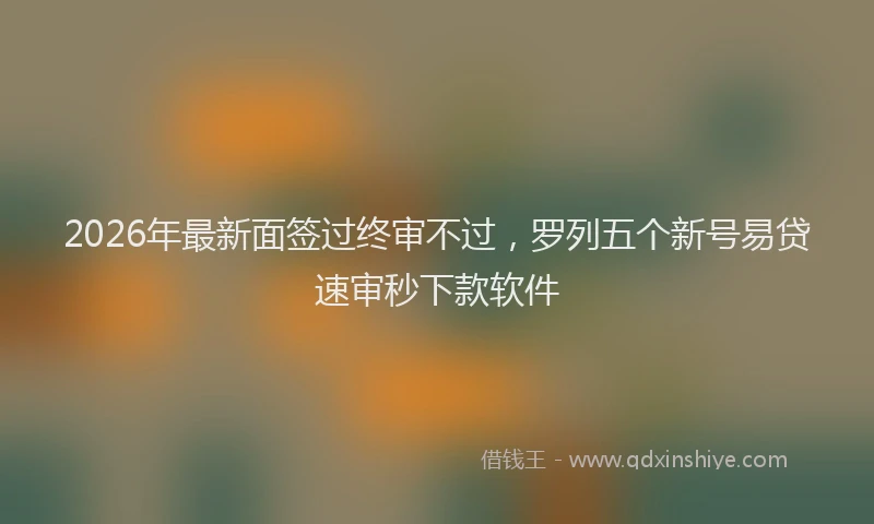 2026年最新面签过终审不过，罗列五个新号易贷速审秒下款软件