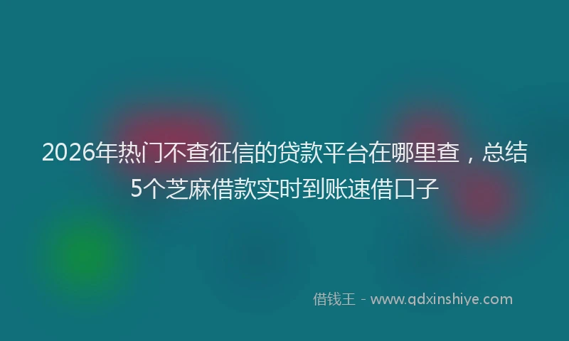 2026年热门不查征信的贷款平台在哪里查，总结5个芝麻借款实时到账速借口子