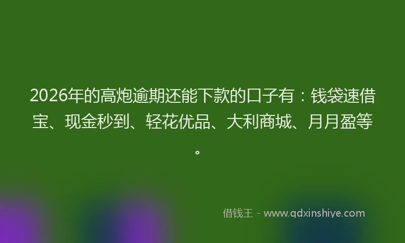 2026年的高炮逾期还能下款的口子有：钱袋速借宝、现金秒到、轻花优品、大利商城、月月盈等。