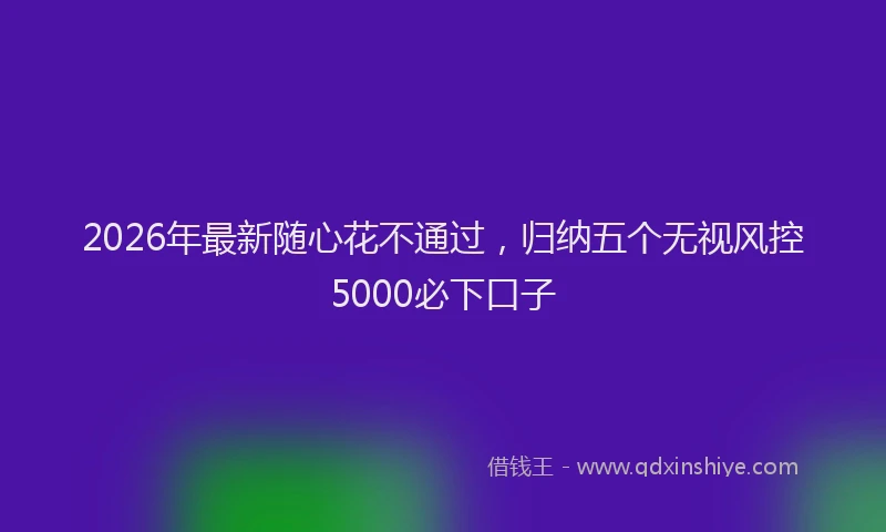 2026年最新随心花不通过，归纳五个无视风控5000必下口子