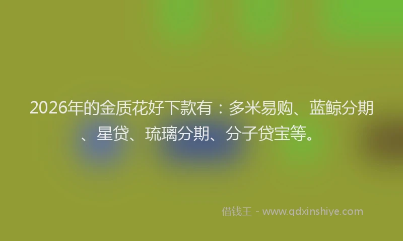 2026年的金质花好下款有：多米易购、蓝鲸分期、星贷、琉璃分期、分子贷宝等。