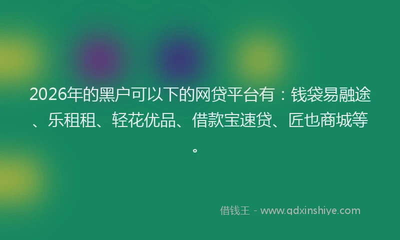 2026年的黑户可以下的网贷平台有：钱袋易融途、乐租租、轻花优品、借款宝速贷、匠也商城等。