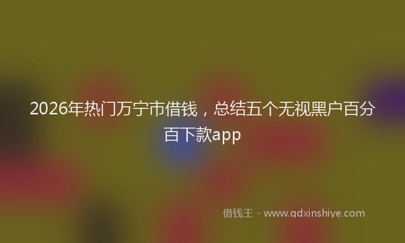 2026年热门万宁市借钱，总结五个无视黑户百分百下款app