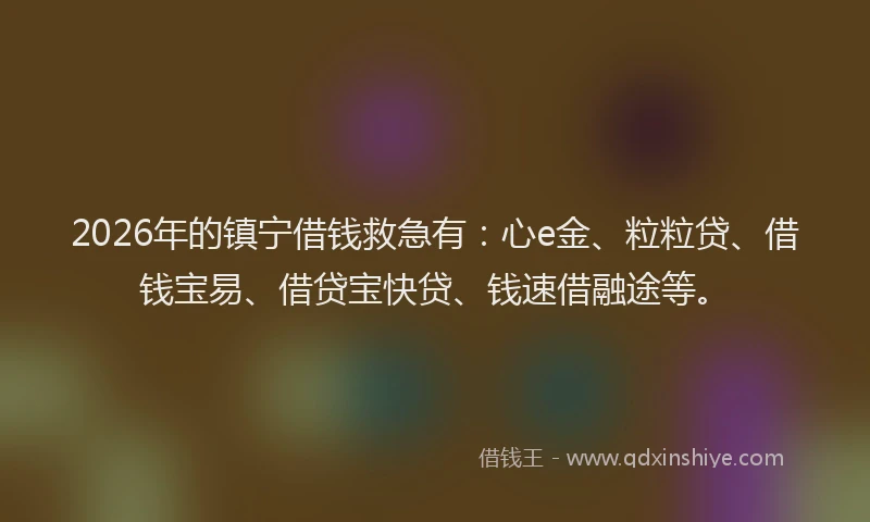 2026年的镇宁借钱救急有：心e金、粒粒贷、借钱宝易、借贷宝快贷、钱速借融途等。