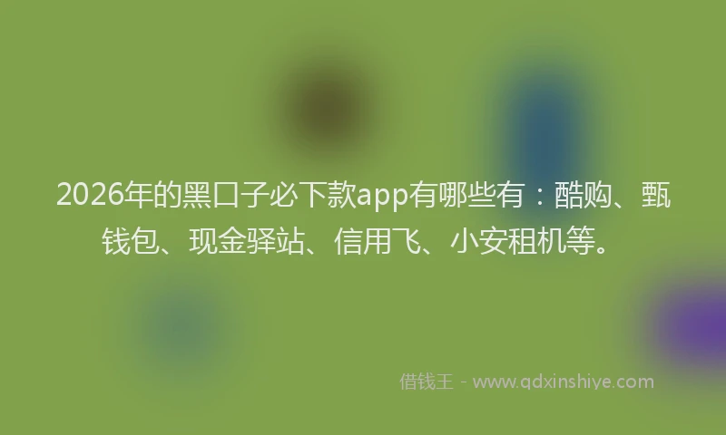2026年的黑口子必下款app有哪些有：酷购、甄钱包、现金驿站、信用飞、小安租机等。