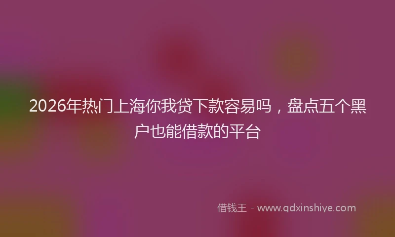 2026年热门上海你我贷下款容易吗，盘点五个黑户也能借款的平台