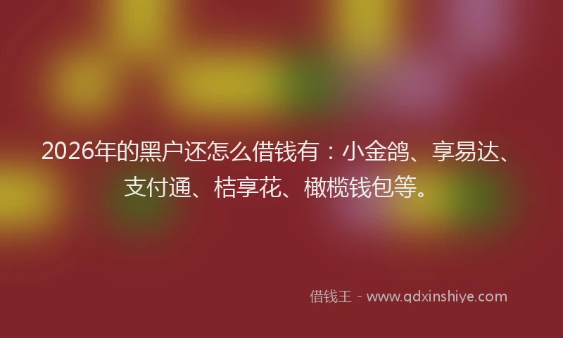 2026年的黑户还怎么借钱有：小金鸽、享易达、支付通、桔享花、橄榄钱包等。