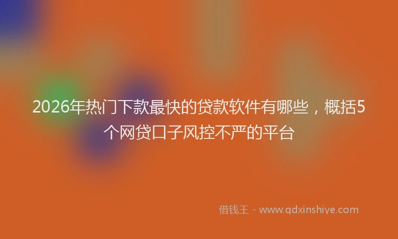 2026年热门下款最快的贷款软件有哪些，概括5个网贷口子风控不严的平台