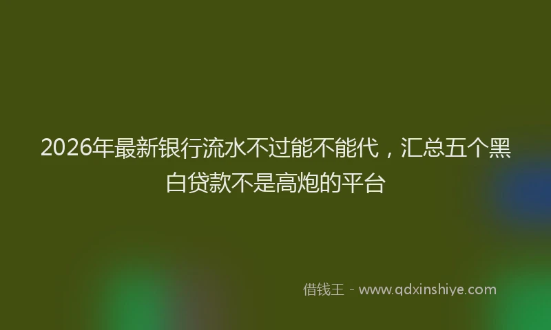2026年最新银行流水不过能不能代，汇总五个黑白贷款不是高炮的平台