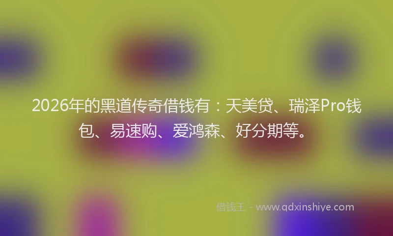 2026年的黑道传奇借钱有：天美贷、瑞泽Pro钱包、易速购、爱鸿森、好分期等。