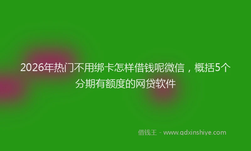 2026年热门不用绑卡怎样借钱呢微信，概括5个分期有额度的网贷软件