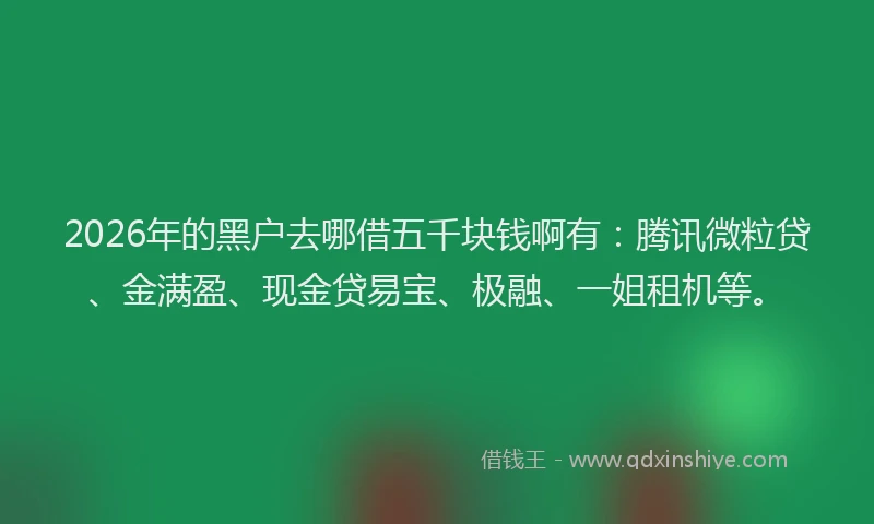 2026年的黑户去哪借五千块钱啊有：腾讯微粒贷、金满盈、现金贷易宝、极融、一姐租机等。