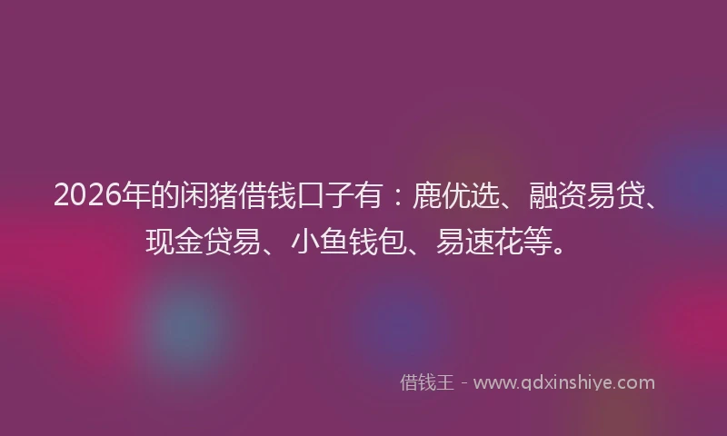 2026年的闲猪借钱口子有：鹿优选、融资易贷、现金贷易、小鱼钱包、易速花等。