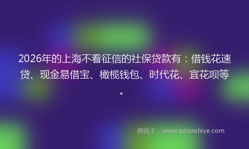 2026年的上海不看征信的社保贷款有：借钱花速贷、现金易借宝、橄榄钱包、时代花、宜花呗等。