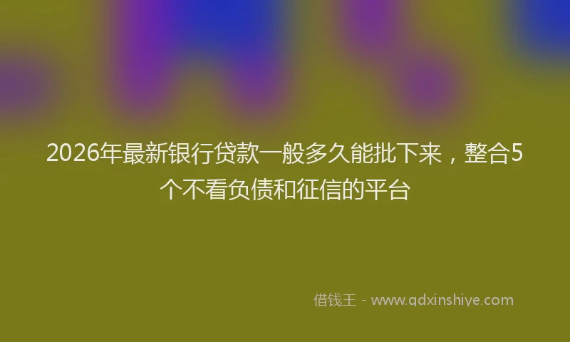 2026年最新银行贷款一般多久能批下来，整合5个不看负债和征信的平台