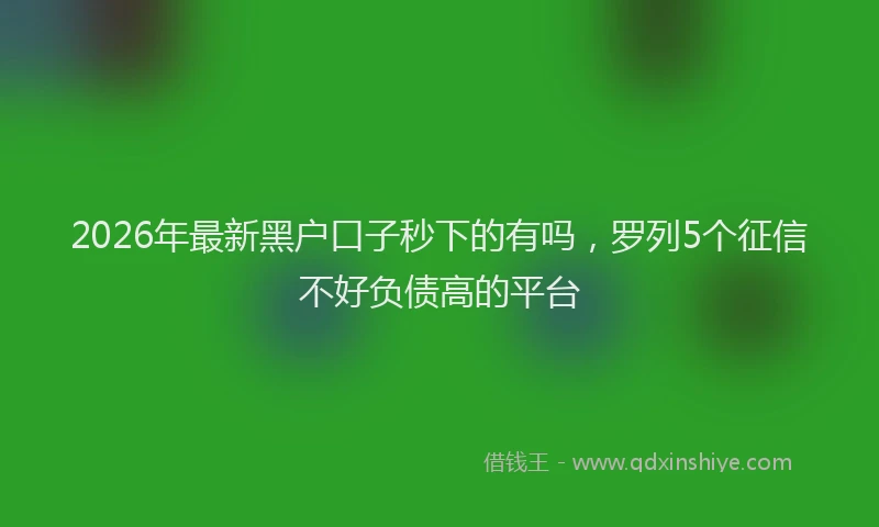 2026年最新黑户口子秒下的有吗，罗列5个征信不好负债高的平台