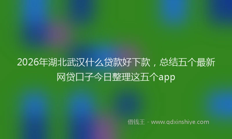 2026年湖北武汉什么贷款好下款，总结五个最新网贷口子今日整理这五个app