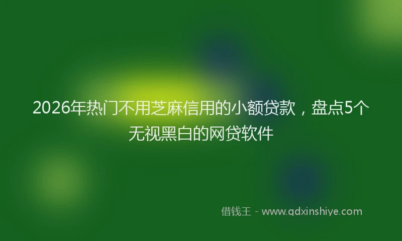 2026年热门不用芝麻信用的小额贷款，盘点5个无视黑白的网贷软件