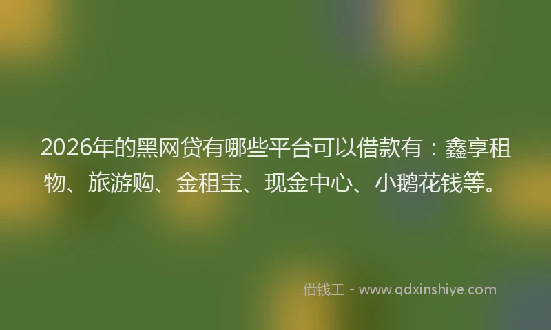 2026年的黑网贷有哪些平台可以借款有：鑫享租物、旅游购、金租宝、现金中心、小鹅花钱等。