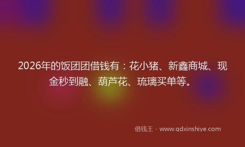 2026年的饭团团借钱有：花小猪、新鑫商城、现金秒到融、葫芦花、琉璃买单等。