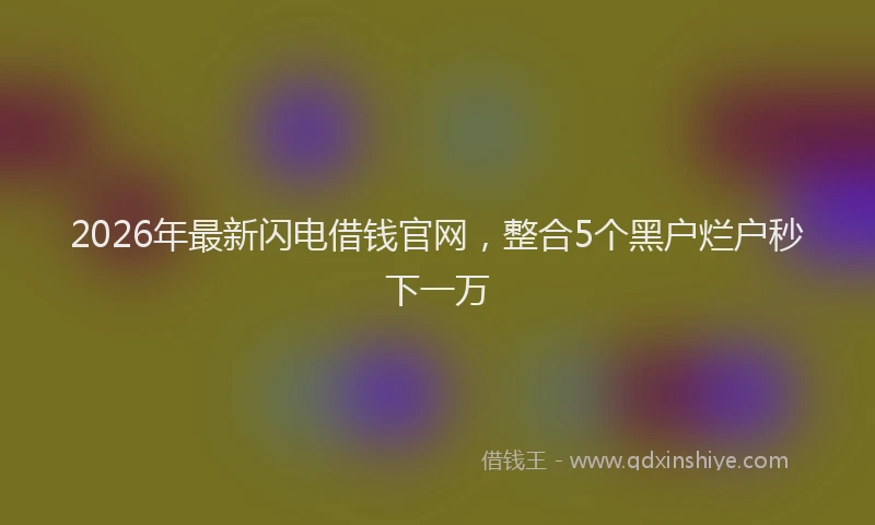 2026年最新闪电借钱官网，整合5个黑户烂户秒下一万