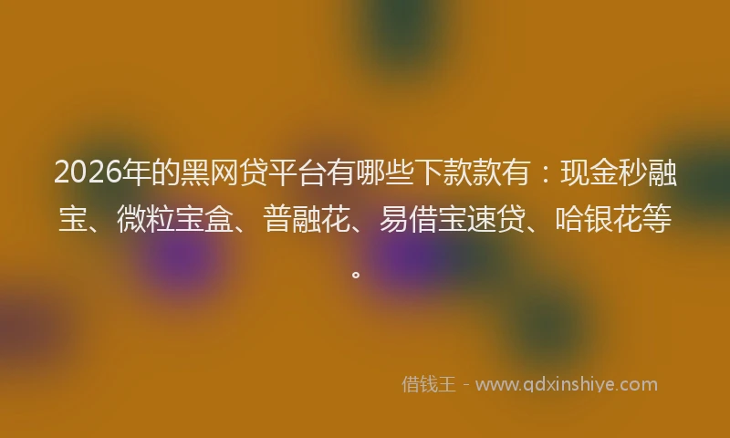 2026年的黑网贷平台有哪些下款款有：现金秒融宝、微粒宝盒、普融花、易借宝速贷、哈银花等。