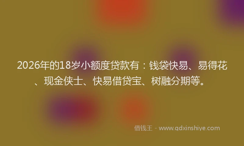 2026年的18岁小额度贷款有：钱袋快易、易得花、现金侠士、快易借贷宝、树融分期等。