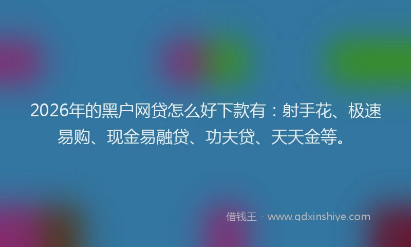 2026年的黑户网贷怎么好下款有：射手花、极速易购、现金易融贷、功夫贷、天天金等。