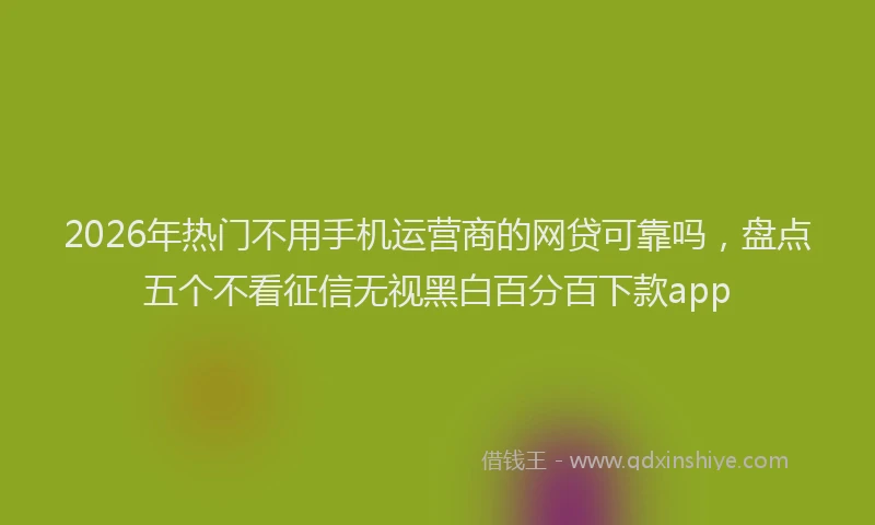 2026年热门不用手机运营商的网贷可靠吗，盘点五个不看征信无视黑白百分百下款app