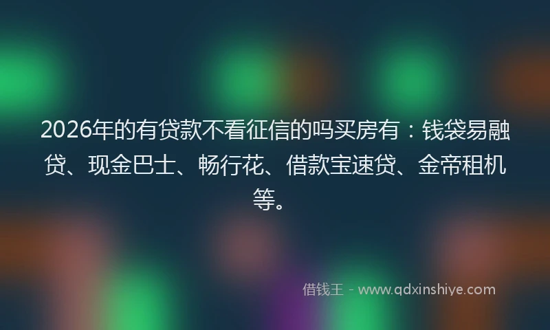 2026年的有贷款不看征信的吗买房有：钱袋易融贷、现金巴士、畅行花、借款宝速贷、金帝租机等。