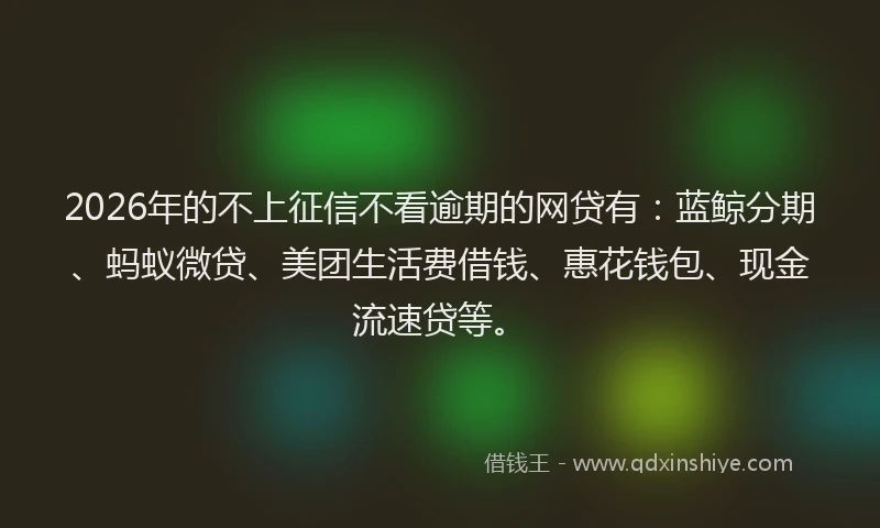 2026年的不上征信不看逾期的网贷有：蓝鲸分期、蚂蚁微贷、美团生活费借钱、惠花钱包、现金流速贷等。