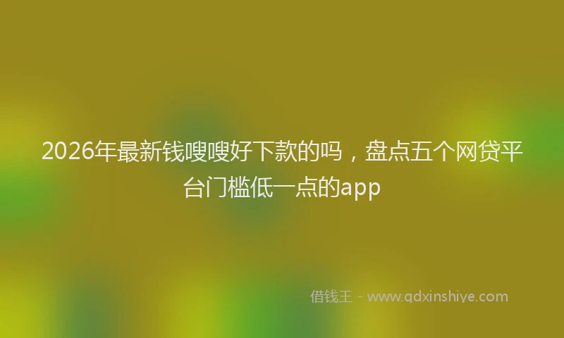 2026年最新钱嗖嗖好下款的吗，盘点五个网贷平台门槛低一点的app