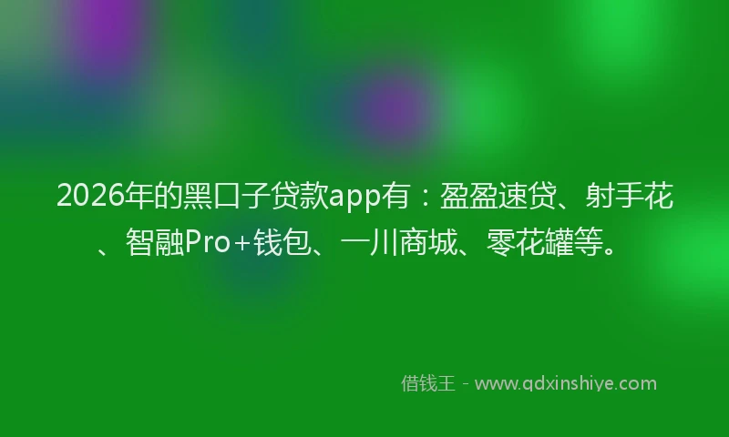 2026年的黑口子贷款app有：盈盈速贷、射手花、智融Pro+钱包、一川商城、零花罐等。