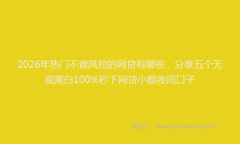 2026年热门不查风控的网贷有哪些，分享五个无视黑白100%秒下网贷小额夜间口子
