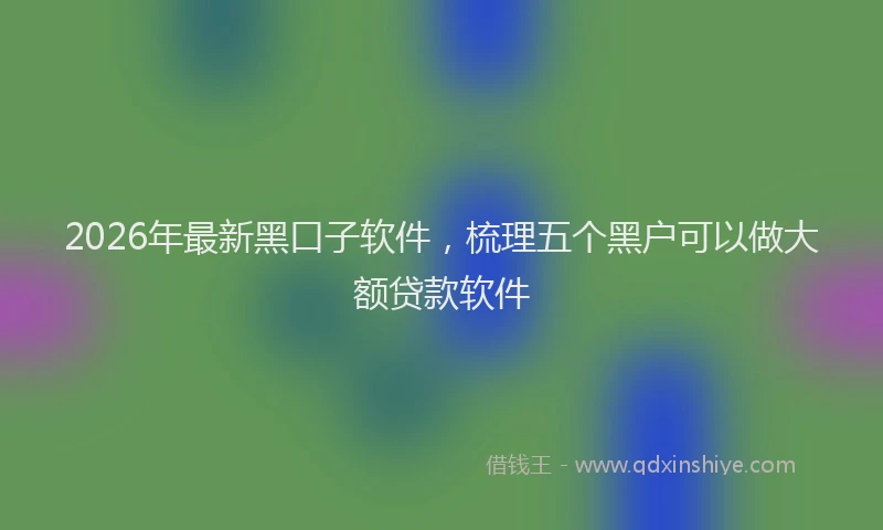 2026年最新黑口子软件，梳理五个黑户可以做大额贷款软件