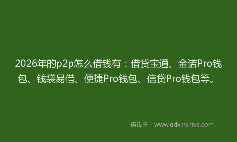 2026年的p2p怎么借钱有：借贷宝通、金诺Pro钱包、钱袋易借、便捷Pro钱包、信贷Pro钱包等。